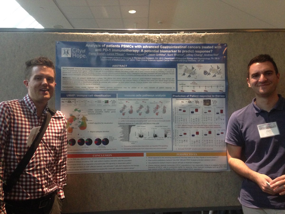 Andrea Bild Lab tweet media