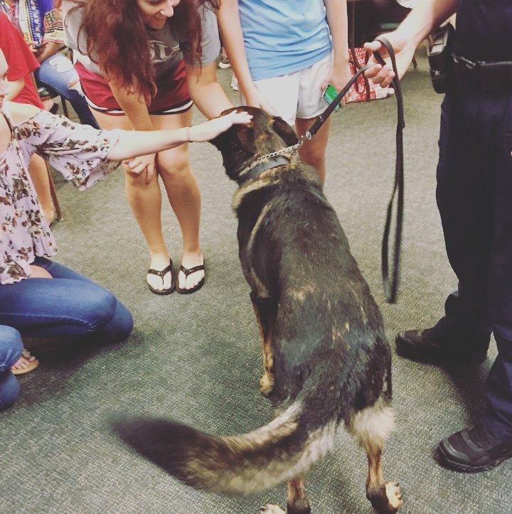stepgsu's tweet photo. Thanks! to everyone that came out to our General Body meeting last night!! Stay tuned for upcoming events πΎπΎπΎ #K9 #stepgsu #hailsouthern https://t.co/BUnaVxABc8