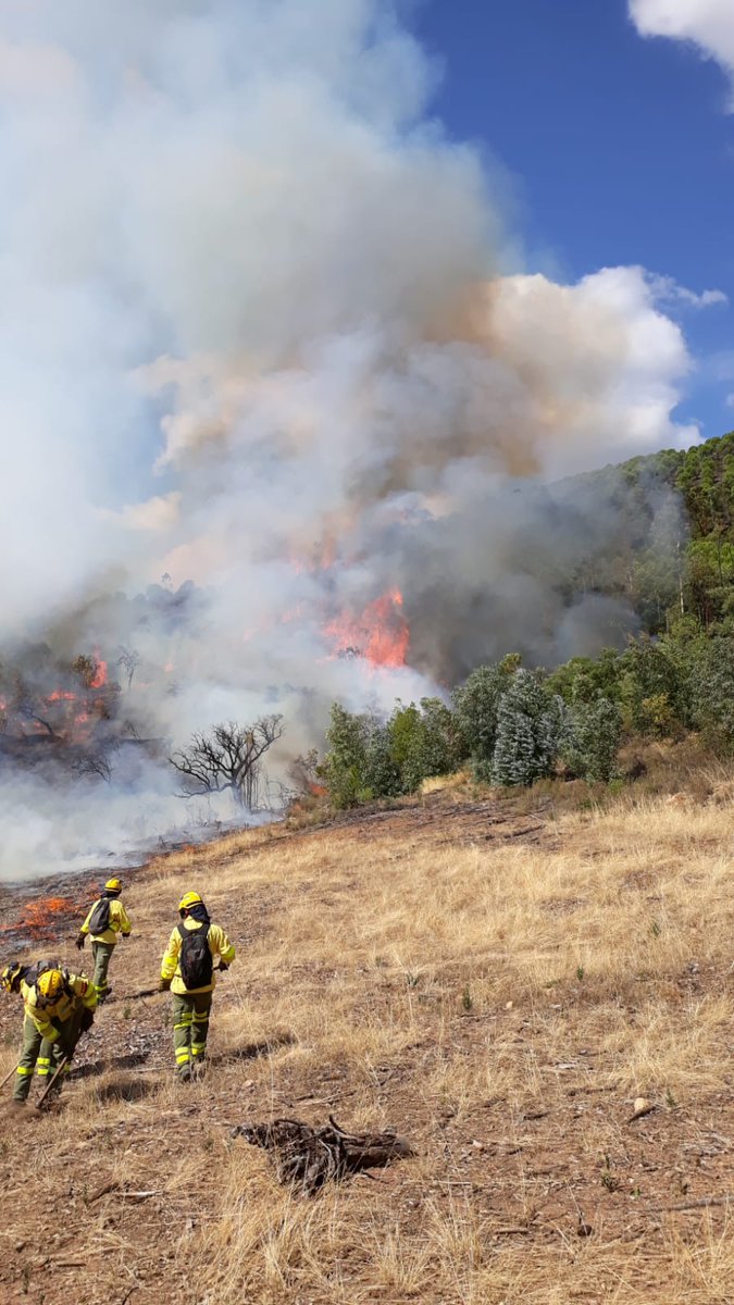 Plan_INFOCA's tweet photo. DECLARADO #IFNerva, #Huelva. Paraje Las Majadillas. Medios: 7 aéreos (2 aviones de carga en tierra, 4 helicópteros -1 de gran capacidad- y avión de coordinación), 4 autobombas, 33 #bomberosforestales, 3 #TOP y 2 #AAMM https://t.co/cjoi5tF3q4