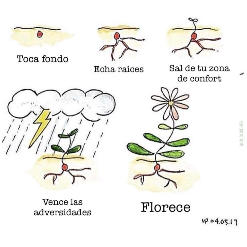 blancanpg's tweet photo. Me amo,
Me acepto,
Confío en los
procesos de 
la vida. https://t.co/RqNBtMVicB