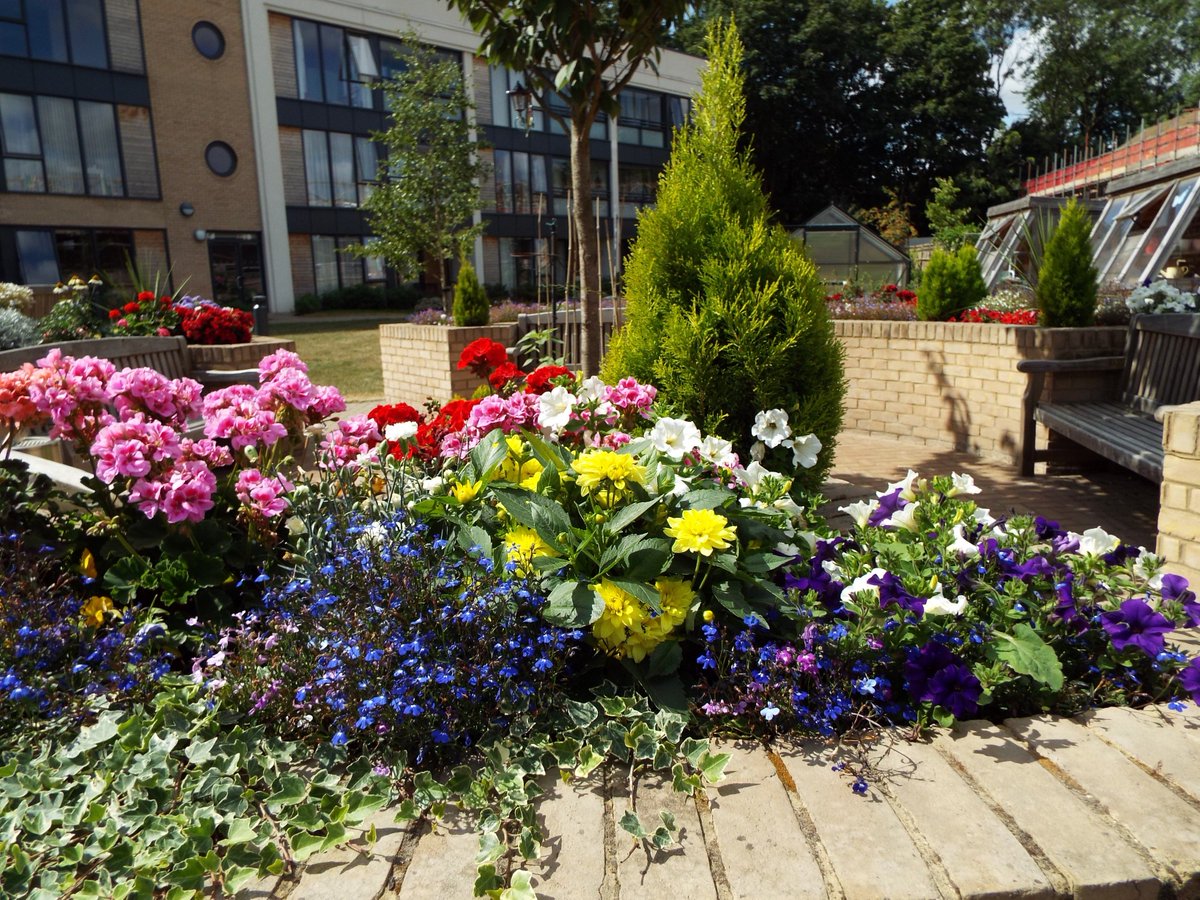 letstalkcentral's tweet photo. A last look at this beautiful display by our #PrioryView gardening club, which won a special award nomination in @DunstablenBloom entry this year. Well done to our residents and #DunstableinBloom. Fantastic results! 👏 @DunstableTC https://t.co/cq4s3ZU5qE