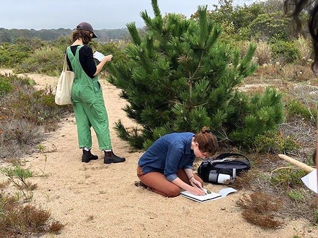 Material explorations: plants. This week’s field excursion with botanist and #risdlandscape lecturer Hope Leeson. Photo by MLA student @serena_rising. Tag us with <a href="/risdlandscape/">RISD Landscape</a> to feature work.
.
.
.
.
#botany #landscape #landscapearchitecture #ecosyste… ift.tt/2DBz1Ia