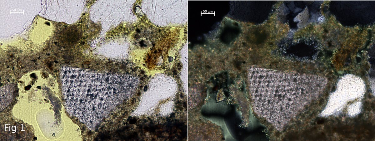 RSKPetrography's tweet photo. We could use some help with today's #ThinSectionThursday. Have a look at these mystery objects in a render sample. We have a suspicion about Fig 1 but, Fig 2 is nothing we can explain. Both are in shown in PPL and XPL. Any ideas, #petrographers? #render #petrography https://t.co/qXIhOYsIB3
