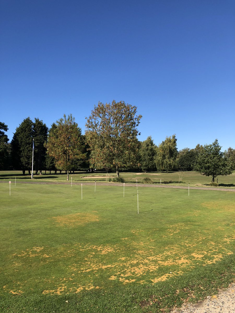 ignitetelecoms's tweet photo. And all the golfers are off! @ignitetelecoms first golf day so far is a fabulous success, beautiful weather, fantastic players and a stunning course at @OfficialMayland More pictures to follow! https://t.co/Fb9OA9AtFZ