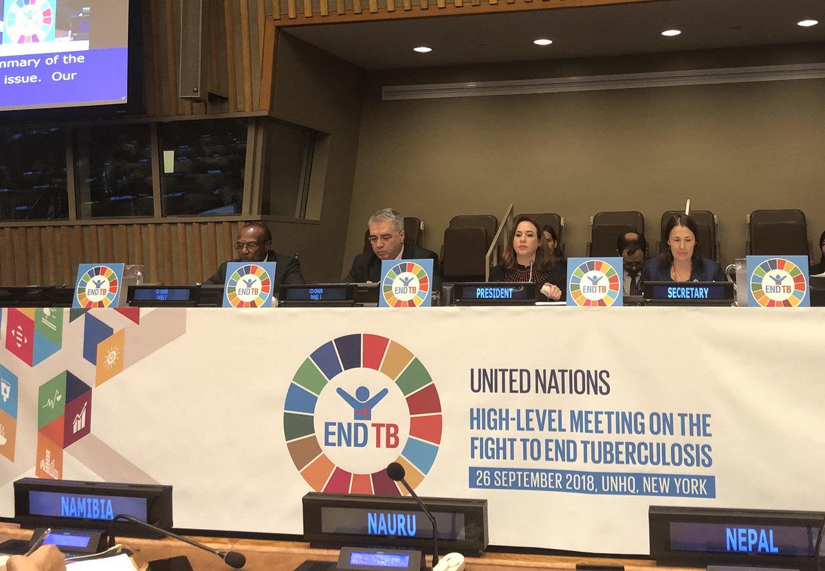 TamarTchelidze1's tweet photo. HLM on Tuberculoses attended by number of Heads of States, Ministers voicing the sense of urgency to defeat the killer once and for all. #DavidSergeenko co-chaired the pannel “Urgent Global Response to a Global Epidemic”. #BillGates deliveriing a keynote statement at the pannel https://t.co/hxFtPs7xth