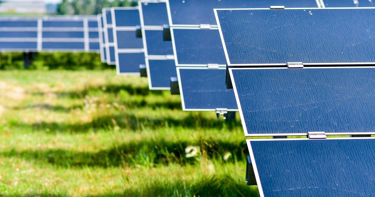 Ener3Dmap's tweet photo. Poco a poco la ciencia se acerca a la #fotosintesis #semiartificial gracias al aprovechamiento de #EnergiaSolar @Cambridge_Uni 
https://t.co/vmTebvtIY2 https://t.co/3PrrBtudCs