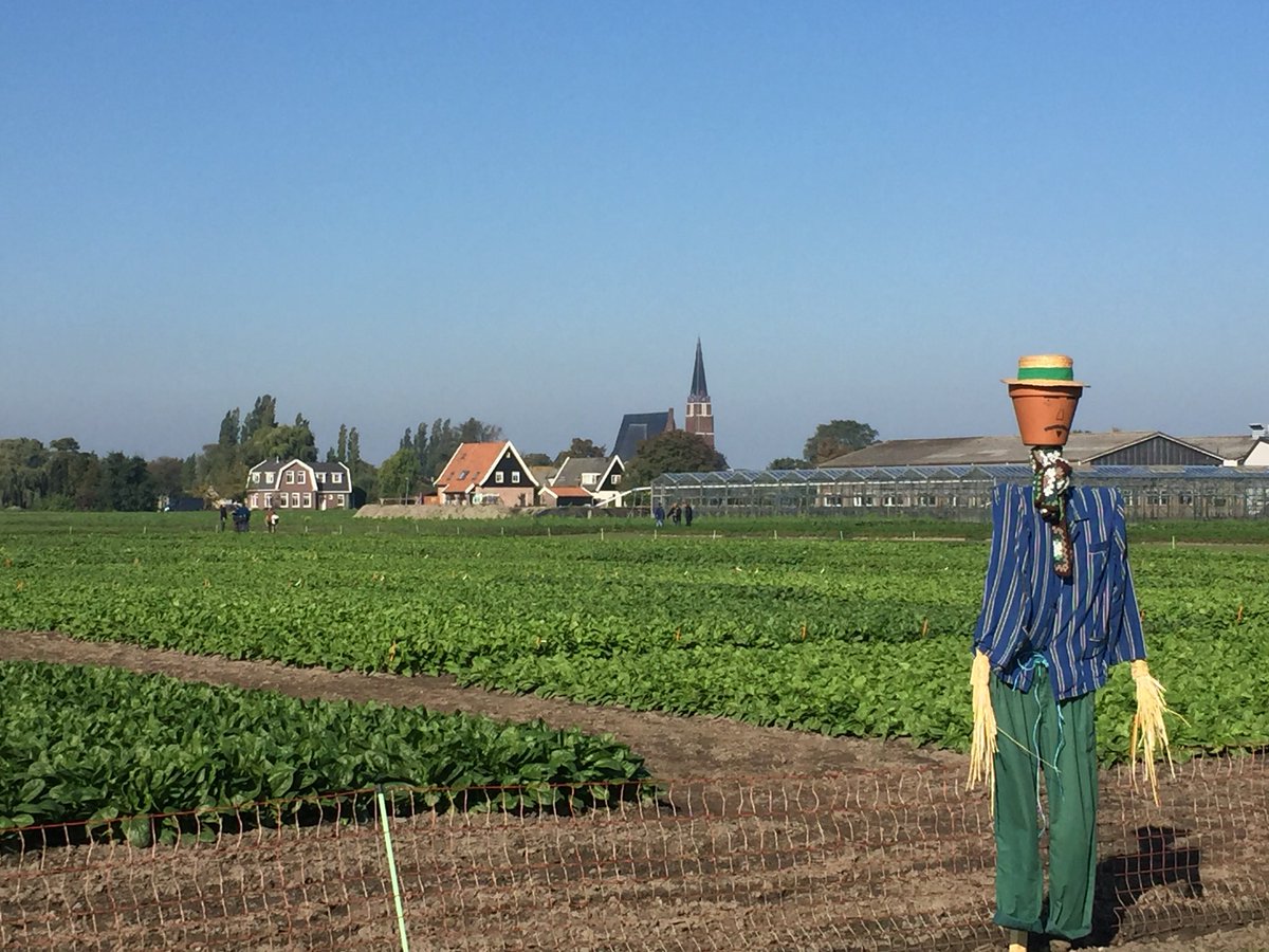 Werkoverleg met @kimgieling tijdens de open dagen van @popvriendseeds - wereldmarktleider in spinaziezaden. Proefvelden liggen er prachtig bij in Andijk! #leukwerk