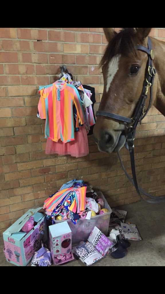 MountedPol's tweet photo. Mounted Police recovered well over $1000 worth of stolen clothing, toys, horse tranquillisers and clippers today. Suspect has been charged with stealing and is sure to wear a long face when fronting the Magistrate. #wa_police #fbmid https://t.co/Ctb24AEed4