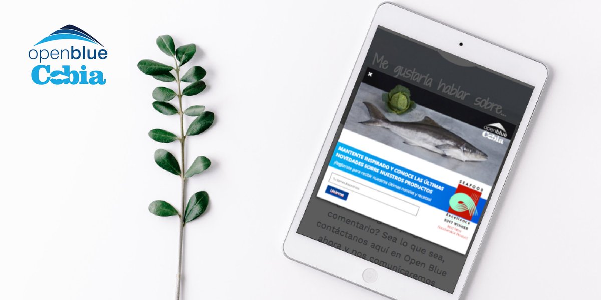 OpenBluePanama's tweet photo. ¡Inscríbete y Recibe Nuestro Boletín de Noticias! Mantente inspirado y conoce las últimas novedades sobre nuestros productos
→https://t.co/QGSPIeY8qj
#Newsletter #OpenBlueCobia #News #PanamáExporta
#PanamáProduce #Fishofthefuture #Versatile #Acuicultura https://t.co/omTISvV2ww