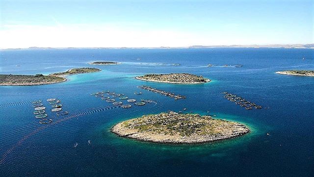 goodeatsmeets's tweet photo. My first decent @djiglobal drone shot after getting lessons from @wiiiam.a high above @kornati_national_park with the sustainable sea pens in sight. .
.
#croatia #croatiafulloflife #gypsytable #thegypsytable
#captivatingcroatia #capcroatia #GEAM #capt… https://t.co/vNIZAwxTww https://t.co/EeG9GK3itY