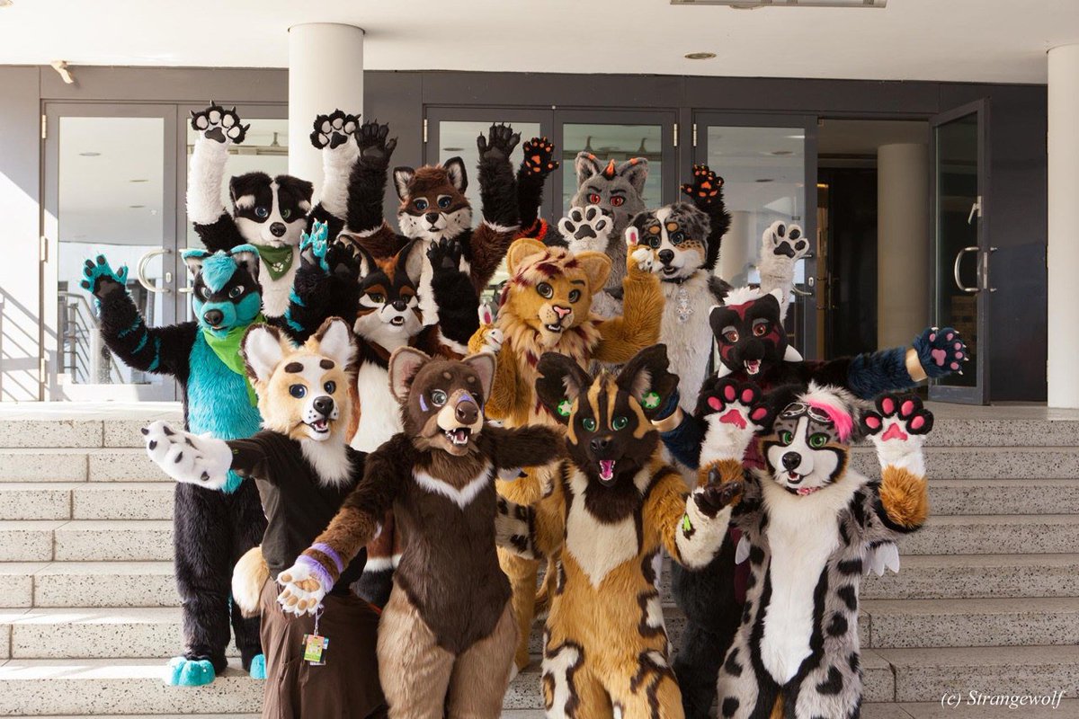 NeonFurStudios's tweet photo. We got some very nice pictures of our group photoshoot from @Strange99wolf β€οΈ
Seeing our growing family makes us very happy :3
#NFSFamily #fursuits #fursuit #fursuitmaker https://t.co/GYQxnBrQJn
