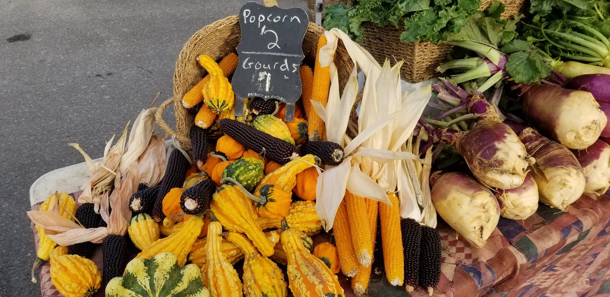 LkfldFarmersMkt's tweet photo. It keeps getting more beautiful! And sweeter too! https://t.co/LkB1wqsZS0