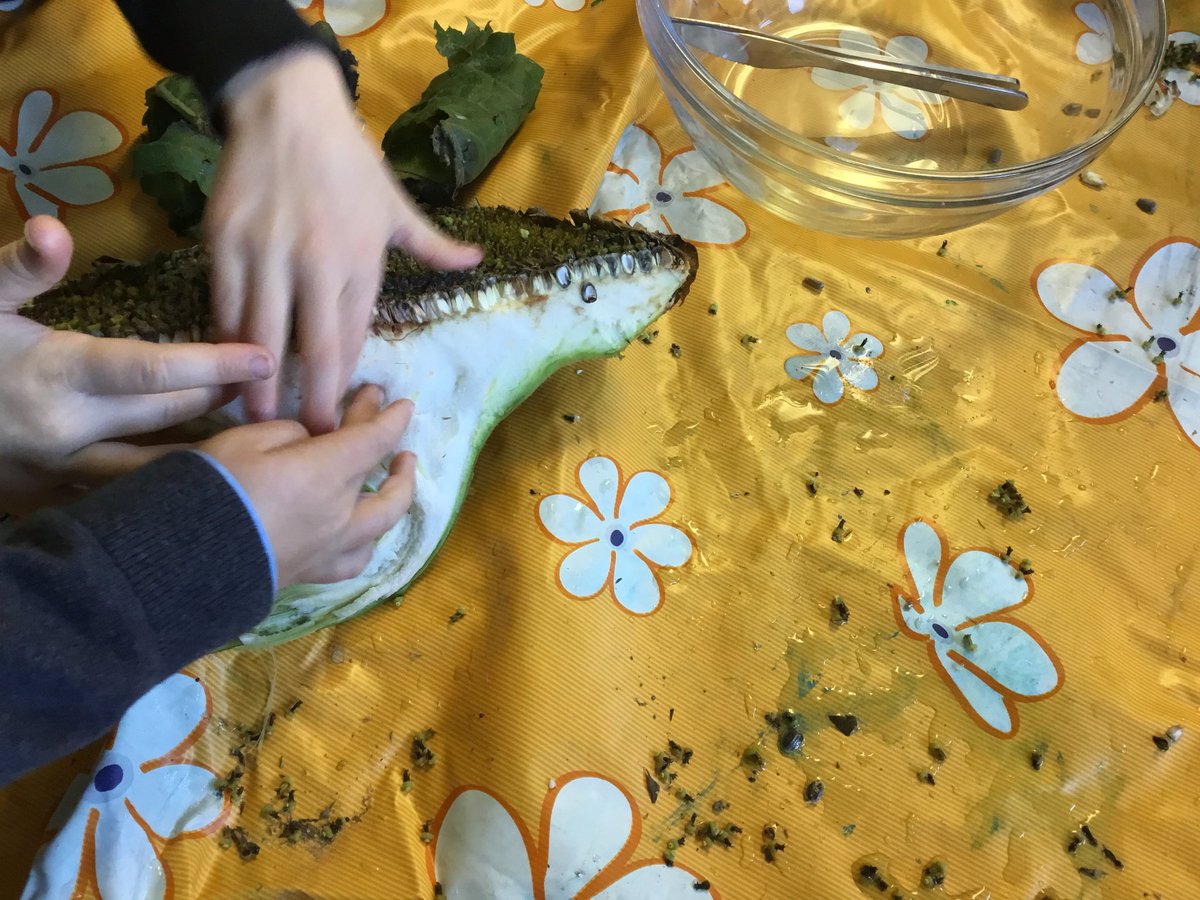 OCMillsNS's tweet photo. We had so much fun in Rang 1-3 dissecting a sunflower #science #pdstscience https://t.co/1uYW3Q4ICA