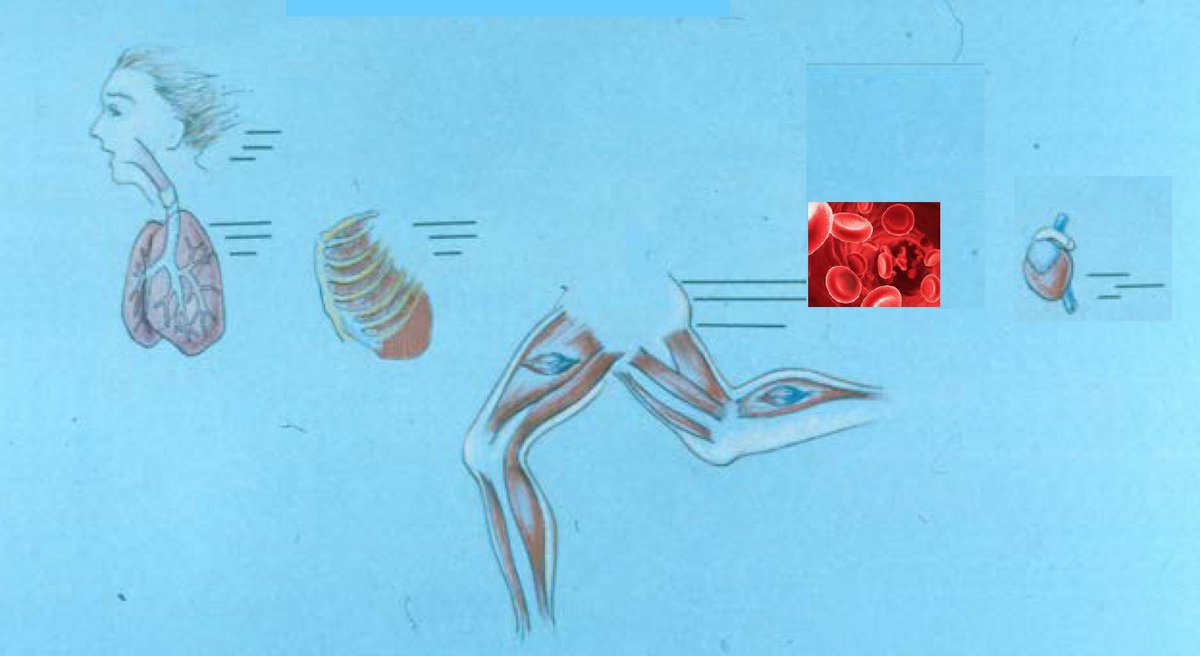 Sarah Imhoff tweet media