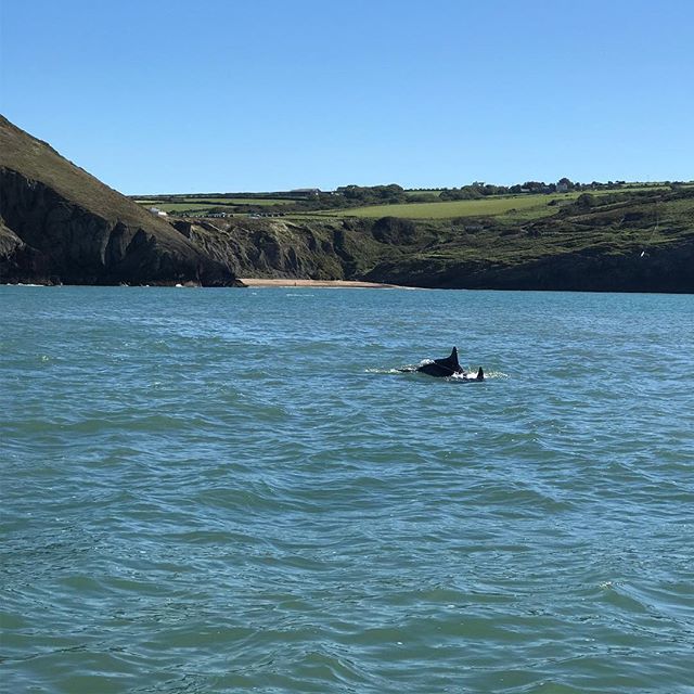 What lovely weather!  #mwnt #yearofthesea @visitceredigion @visitwales ift.tt/2zzPJ6Q