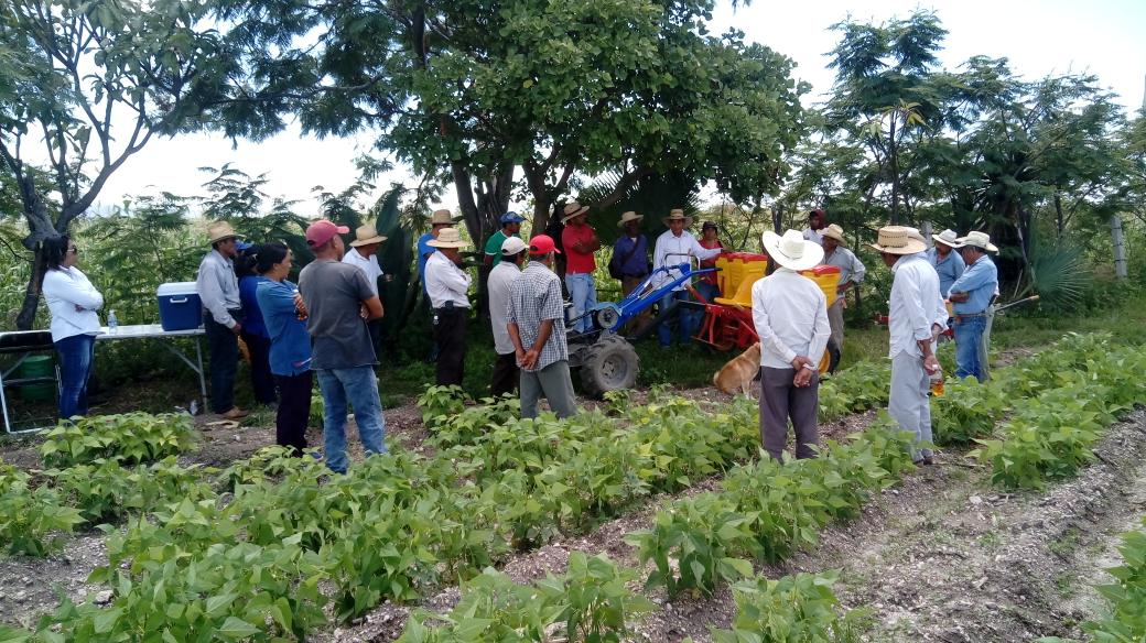 IsaacGDC's tweet photo. Siembra de fríjol "Pinto Saltillo" y "Rayado Rojo" como alternativa rentable para rotación de cultivo, con el apoyo de una mecanización inteligente. #AccionesMasAgro que genera el Desarrollo Sustentable con los agricultores de Santa Inés Ahuatempan, Puebla. #YoSiembroAC #HubVAM https://t.co/DyjV7rUYIj