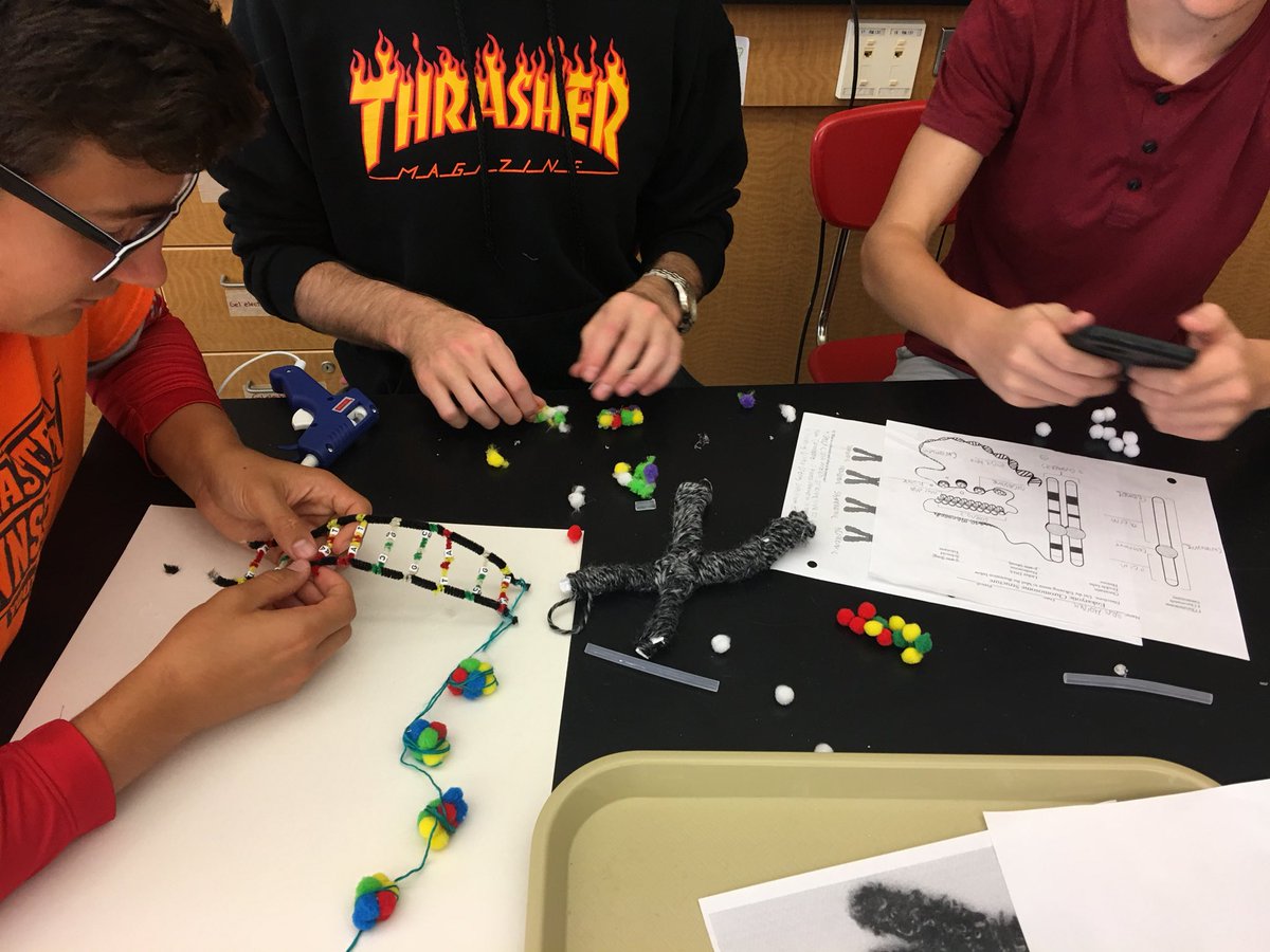 MrsGeorgeOJR's tweet photo. Packaging DNA into chromosomes in genetics class. https://t.co/M24JOM5ZOP