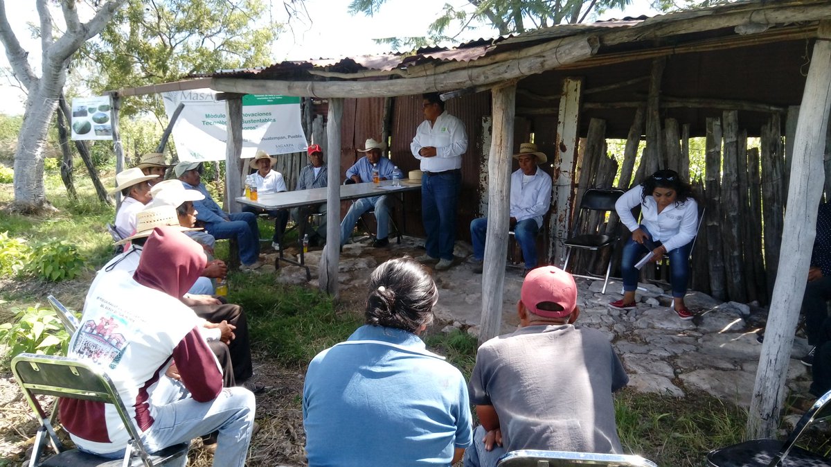 IsaacGDC's tweet photo. Siembra de fríjol "Pinto Saltillo" y "Rayado Rojo" como alternativa rentable para rotación de cultivo, con el apoyo de una mecanización inteligente. #AccionesMasAgro que genera el Desarrollo Sustentable con los agricultores de Santa Inés Ahuatempan, Puebla. #YoSiembroAC #HubVAM https://t.co/DyjV7rUYIj
