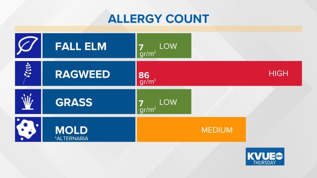 austin allergies allergyatx twitter