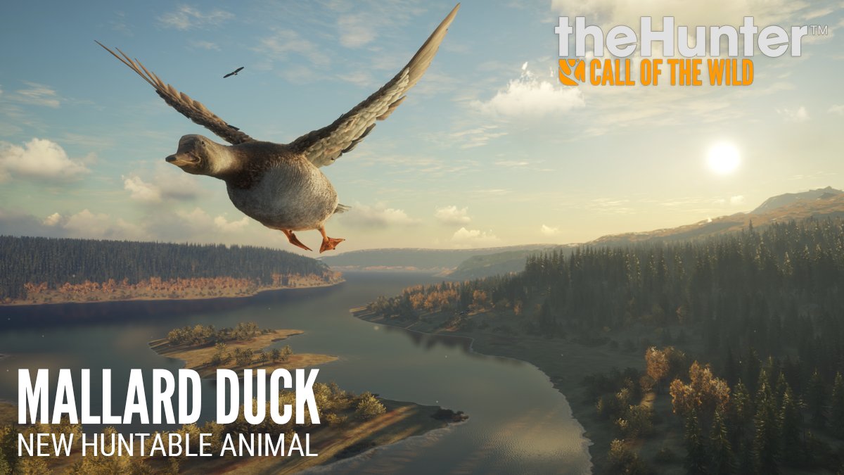 [NEW CONTENT RELEASE PC]
We are pleased to announce that the new duck update and its accompanying paid DLC are live on PC! New animals require new equipment; like the Nordin 20SA shotgun which comes with this DLC. Read more about the new content here: bit.ly/2R3VS1U