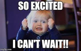 MegaDojoIE tweet media