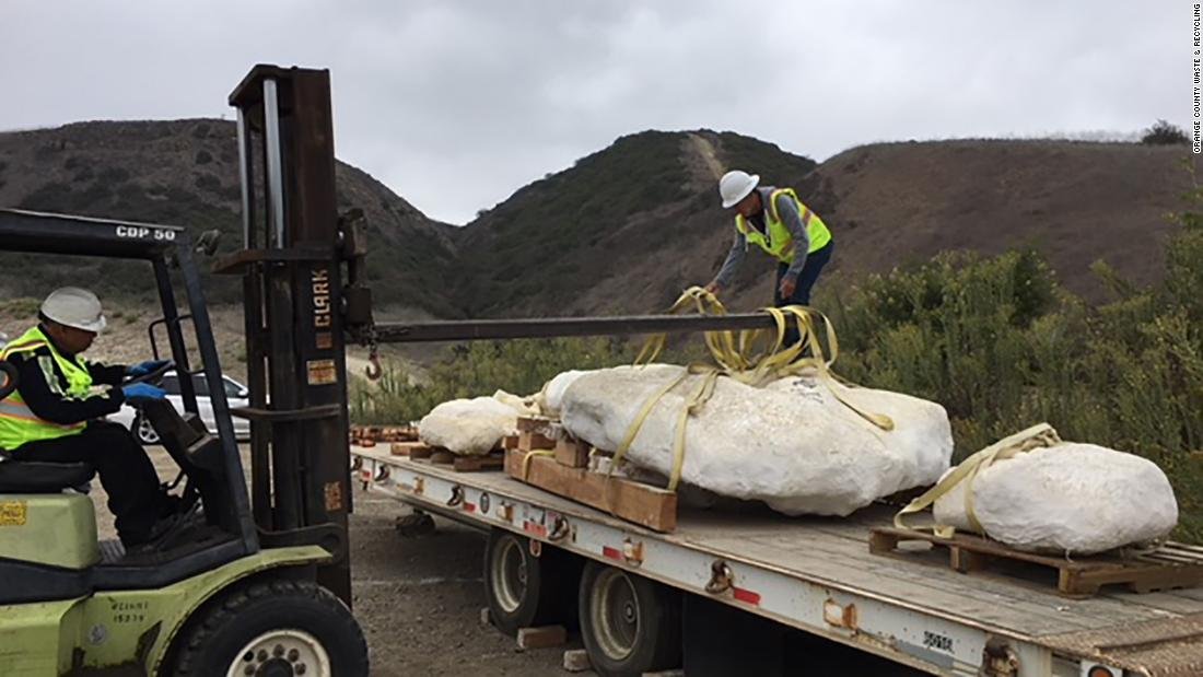 cnni's tweet photo. Scientists may have uncovered an entire new whale species that lived millions of years ago. 

Bones found at a landfill construction site in San Juan Capistrano, California, in June have been transported to a lab for further study. https://t.co/lr4JUc2KuQ https://t.co/ZKjqpHC1Dj