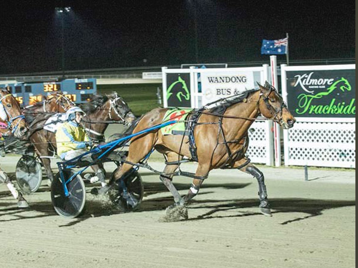 KimaFrenning on Twitter "I can’t even explain how grateful I am for