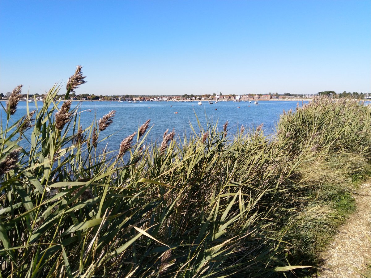 bnnrtn's tweet photo. Thorney Island, West Sussex https://t.co/jlILDmxUnb