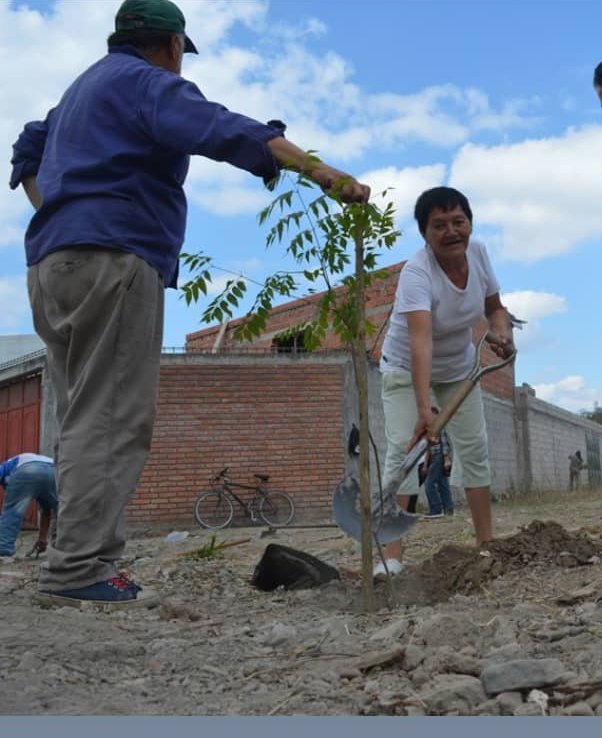 gastonggalindez's tweet photo. 👉Ayer ✔plantamos🌳🌳🌳 Lapachos Tarcos🌳 Tipas🌳 y Jaboneros🌳en total 20 Ejemplares🍃 #ArboladoUrbano #SeguimosPlatando #Arbol @MuniSalta @PrensaSalta @AmbienteMuni https://t.co/36KsdKNPcu