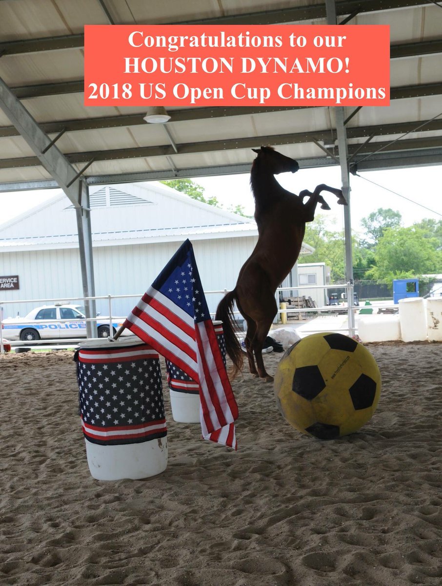 Smashhpdhorse's tweet photo. @HoustonDynamo https://t.co/Ymb2bALwkS