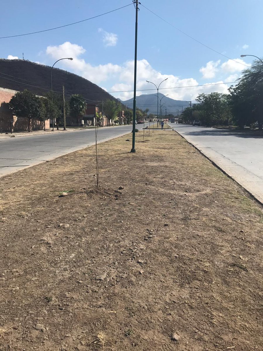 gastonggalindez's tweet photo. 👉#Ahora✔plantamos🌳🌳🌳 🌳 40 Tipas🌳 en av Venezuela Villa Mitre #ZonaEate lindos Ejemplares de buen porte 🍃 #ArboladoUrbano #SeguimosPlatando #Arbol @MuniSalta @PrensaSalta @AmbienteMuni @GustavoSaenzOK @aguayjuv_ar @amigos_arbol https://t.co/3ntbXhMqno