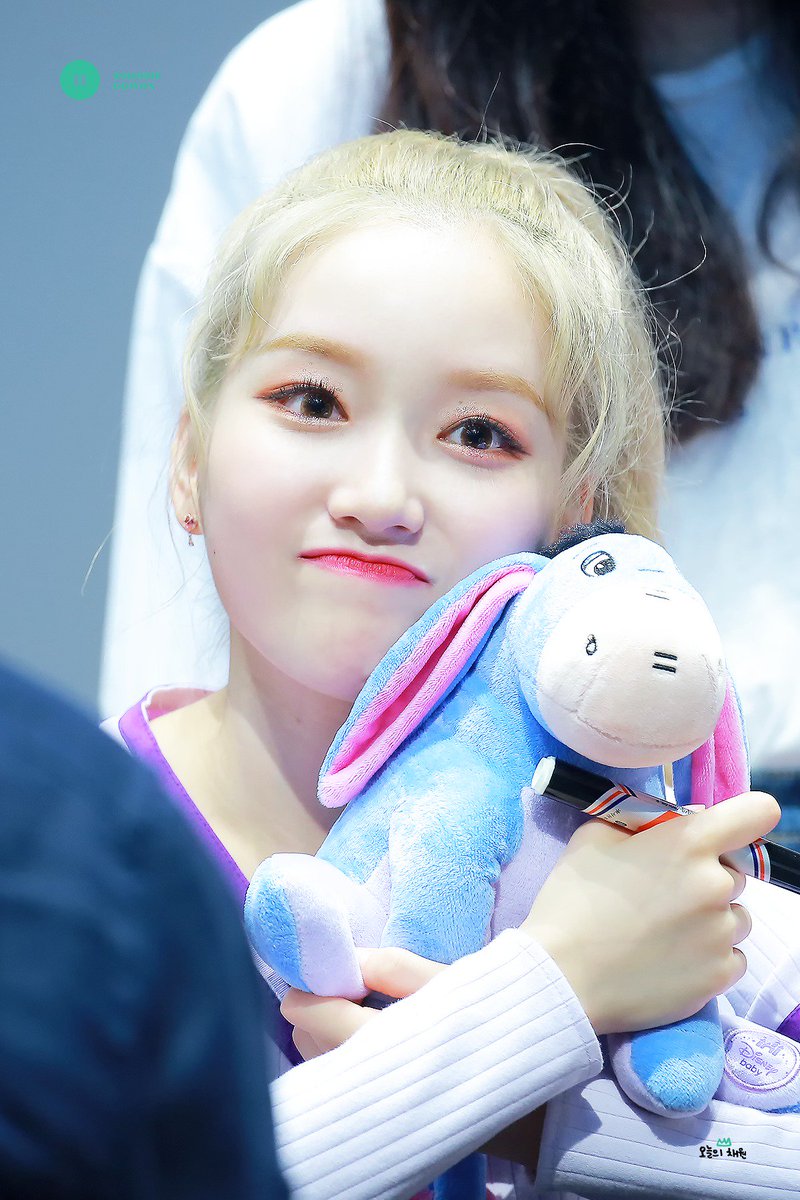 오늘의 채원 tweet media