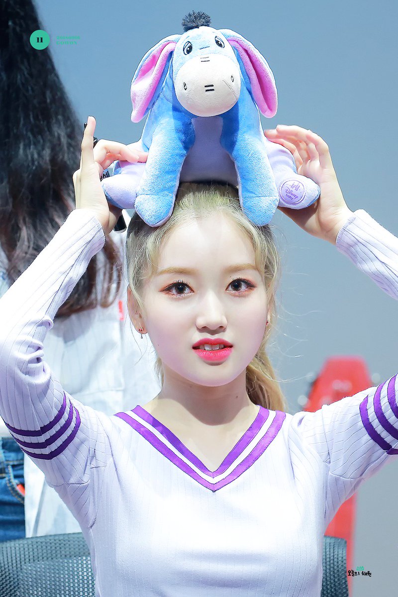 오늘의 채원 tweet media