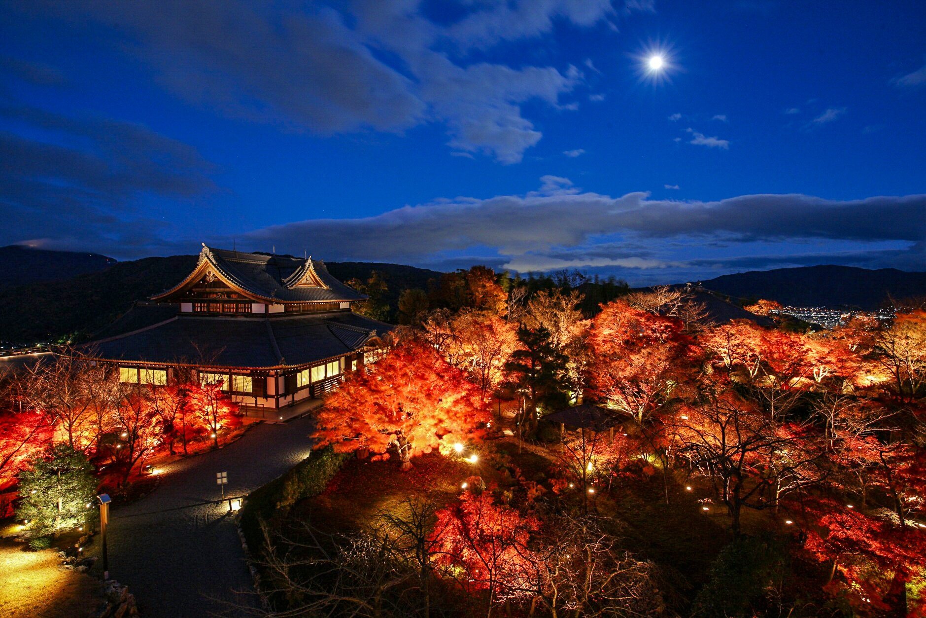 京見坂 将軍塚 青龍殿 紅葉ライトアップ 写真撮ってる人と繋がりたい 写真好きな人と繋がりたい ファインダー越しの私の世界 写真の奏でる私の世界 京都 そうだ京都行こう 将軍塚 青龍殿 紅葉 紅葉ライトアップ