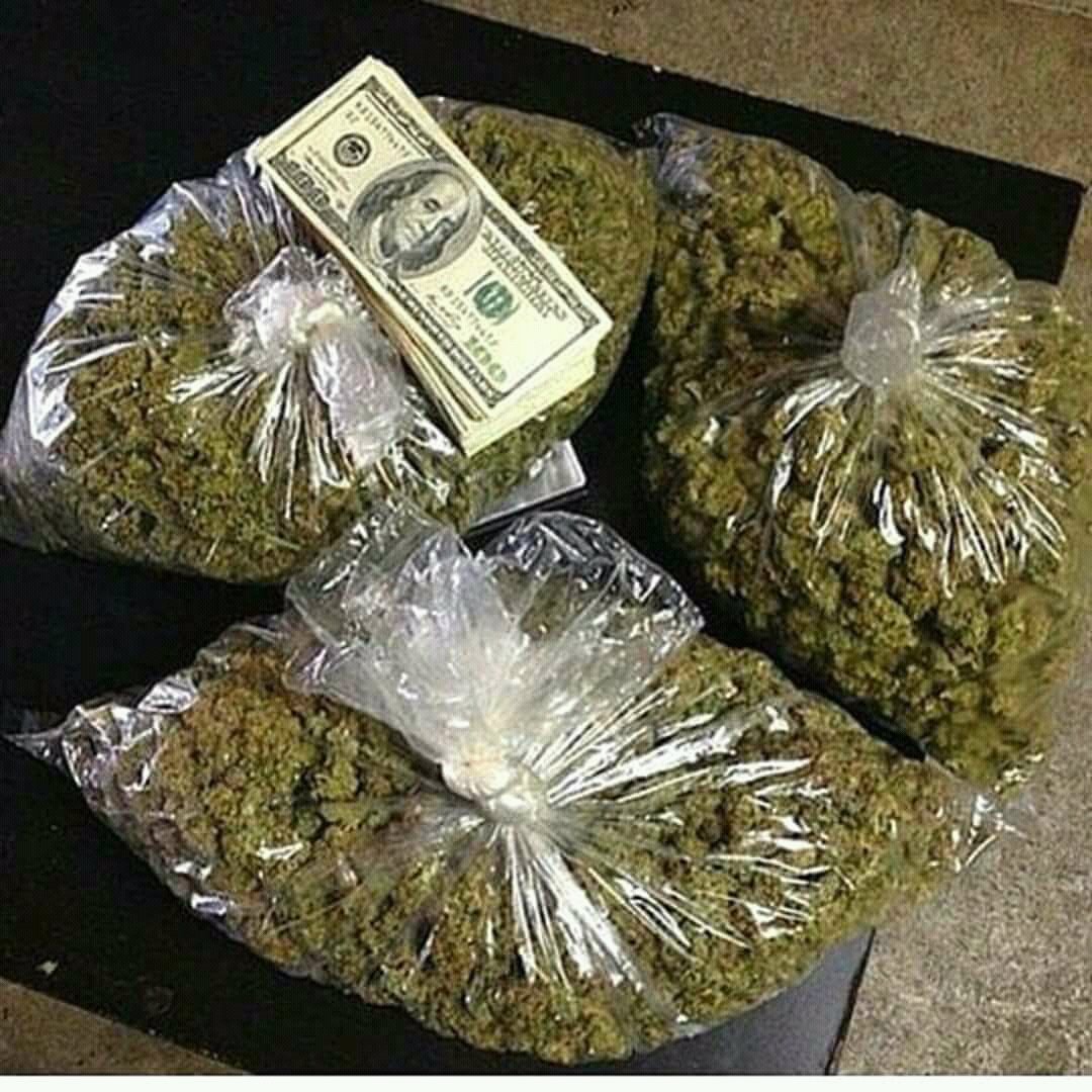 weeddoc420's tweet photo. we smoke the best dm me for menu or wickr weeddocc420 #weed #cannabis #weedporn #marijuana #cannabiscommunity #weedstagram #ganja #stoner #cbd #thc #kush #smoke #sativa #cannabisculture #follow #memes #indica #like #weedmemes #medicalmarijuana #high #weedlife https://t.co/60hOWVC62h