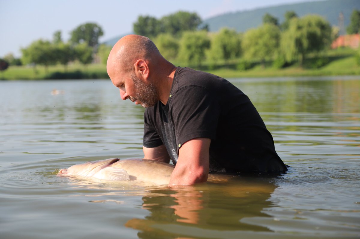 Dave Levy tweet media