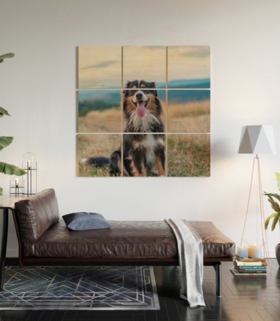 dogandpuplovers's tweet photo. Australian Sheep Dog wall art, pillows, cases, and more: https://t.co/kP8DnOUoyP

#dogs #sheepdog https://t.co/YuYAS1sN54