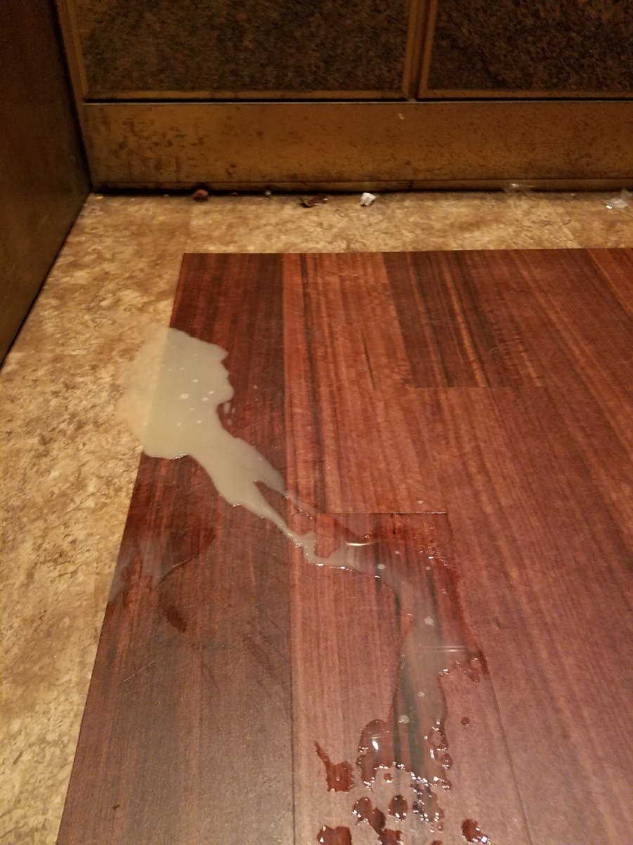 JCElevators's tweet image. New idea: an Elevator Wash. It’d be like a car wash... but for, you know, elevators...  #ElevatorProblems #JCElevators