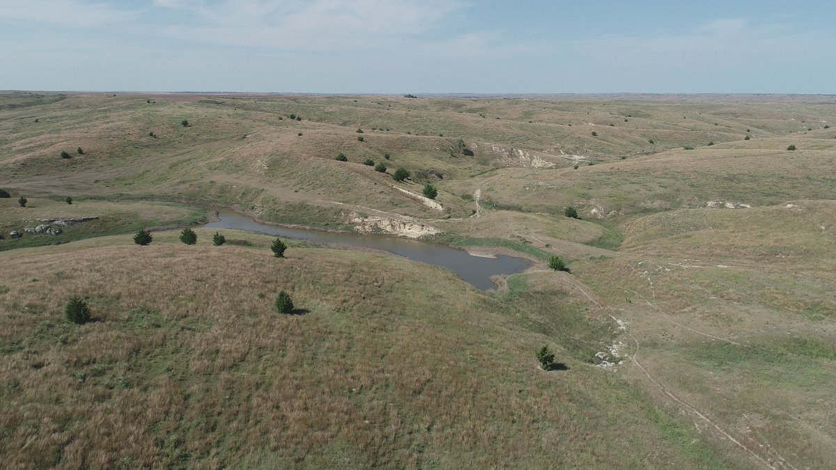 Lashley Land (LashleyLand) Twitter