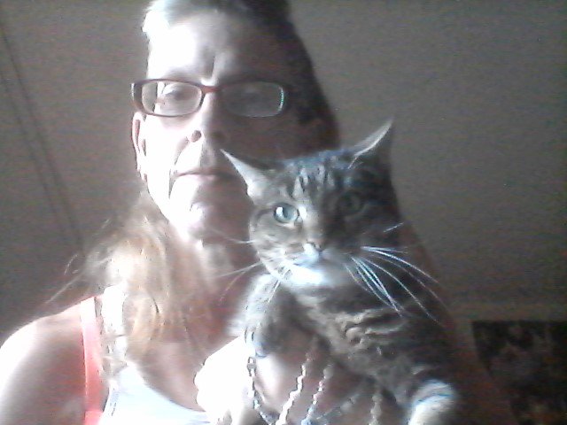 marillion13's tweet photo. @ColeTheBlackCat Gizzy (14), Angel Sisi (would´ve turned 16 in April, crossed the bridge on 1/5/18) & Thori (11), #RememberMeThursday #LightForPets #AdoptDontShop, I´d never go to a breeder, never ever, mine are/Sisi was from private, but all needed to be rehomed urgently!!! 😽😽😽💖💖💖 https://t.co/uIvcmec5PQ