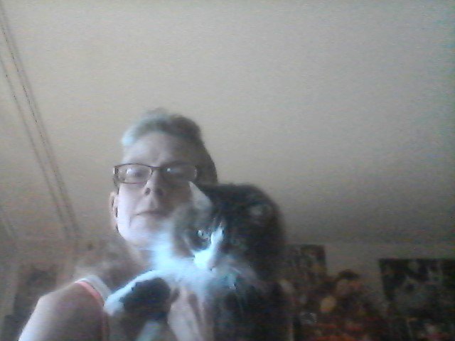 marillion13's tweet photo. @ColeTheBlackCat Gizzy (14), Angel Sisi (would´ve turned 16 in April, crossed the bridge on 1/5/18) & Thori (11), #RememberMeThursday #LightForPets #AdoptDontShop, I´d never go to a breeder, never ever, mine are/Sisi was from private, but all needed to be rehomed urgently!!! 😽😽😽💖💖💖 https://t.co/uIvcmec5PQ