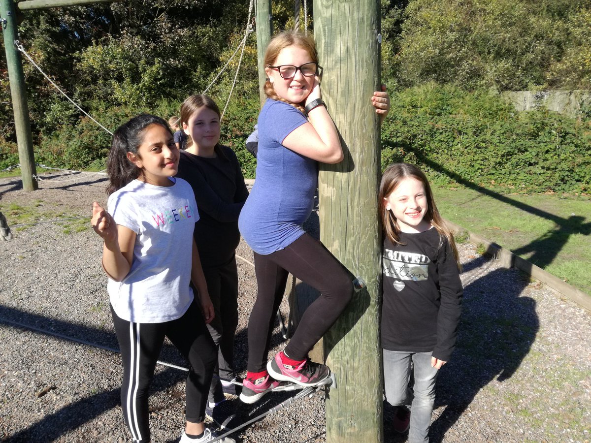Dovelands Primary School tweet media