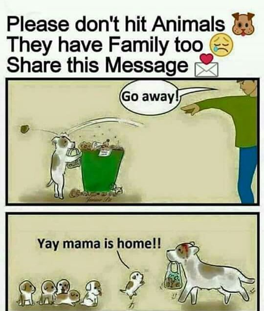 GirlNotyour's tweet image. 