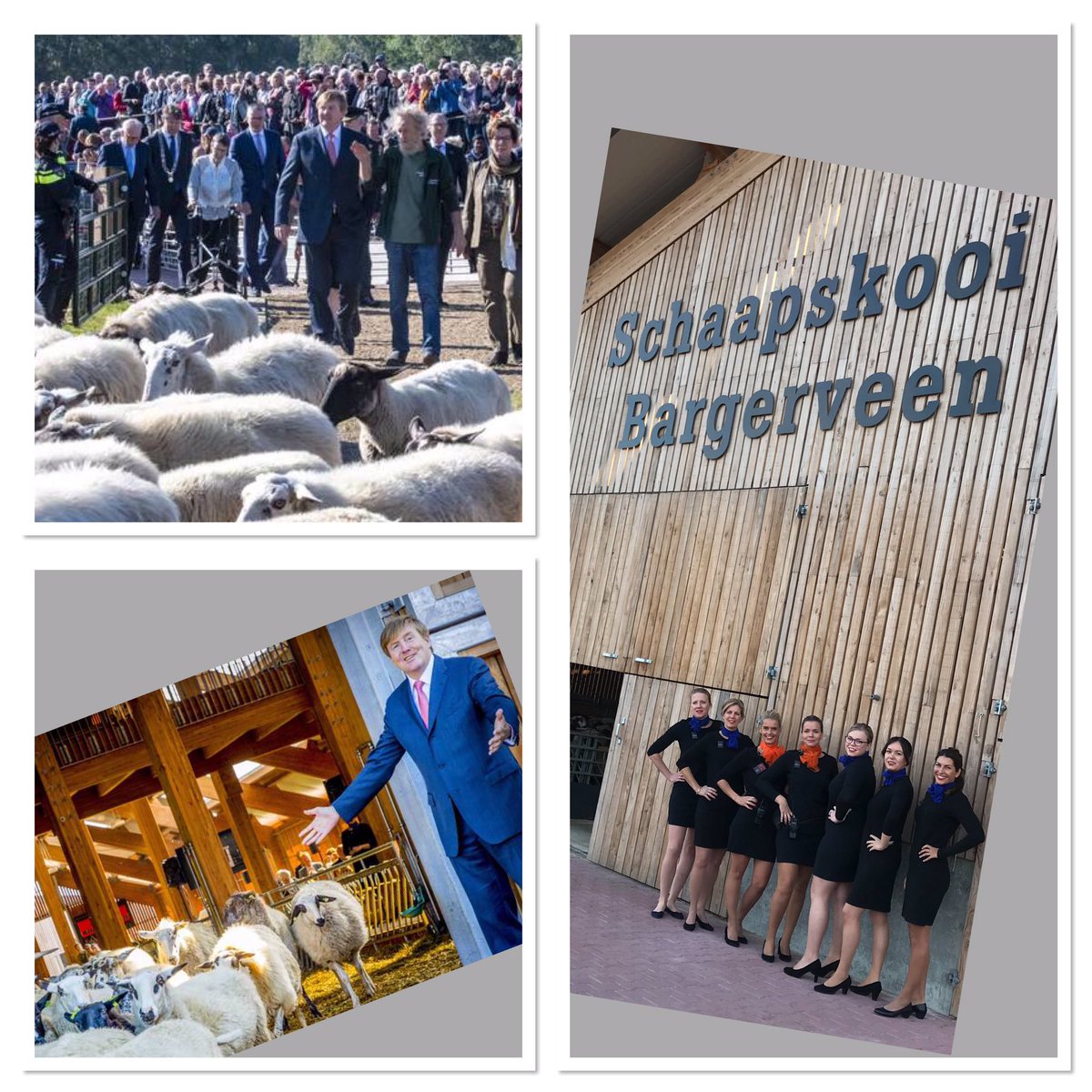 Vandaag was de officiële opening van de #schaapskooi in het #Bargerveen en wij waren er bij. Geweldige opdracht i.s.m. <a href="/ProvDrenthe/">Provincie Drenthe</a>