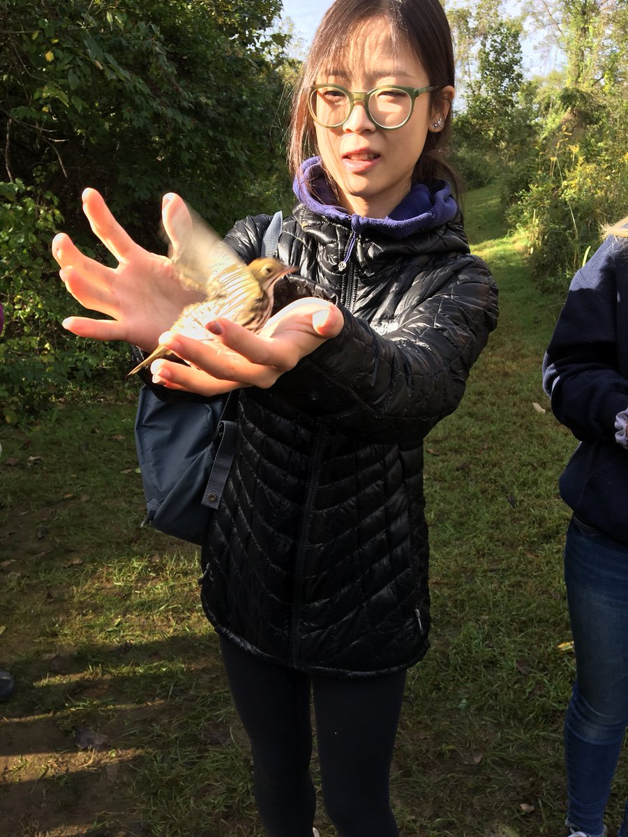 WesttownSchool's tweet photo. The Advanced Scientific Research class went to Rushton Woods Preserve to learn about bird conservation this morning. They saw how birds are netted and banded, and students got to handle and release! #cool #scienceirl #classwithoutwalls https://t.co/IQFNgZYUWU