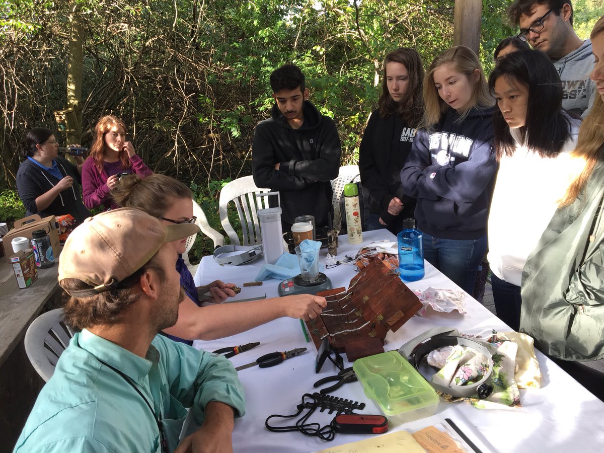 WesttownSchool's tweet photo. The Advanced Scientific Research class went to Rushton Woods Preserve to learn about bird conservation this morning. They saw how birds are netted and banded, and students got to handle and release! #cool #scienceirl #classwithoutwalls https://t.co/IQFNgZYUWU