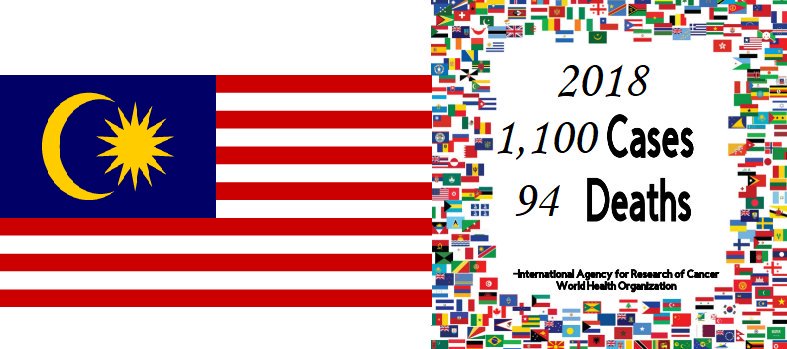 dmfoundation2's tweet photo. Malaysia Statistics #dmfoundation #endometrialcancerawareness #silentnomore #worldwide https://t.co/b2suMgr2vg