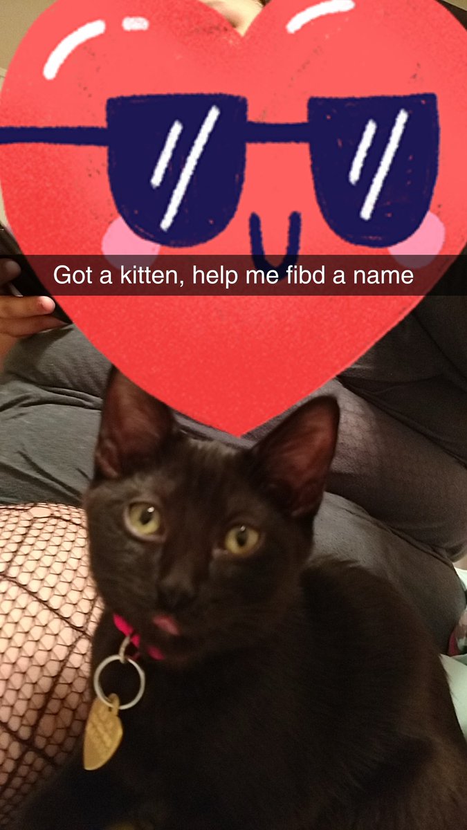 Devyn_Fow's tweet photo. Life update post: Got a girlfriend, got a kitten, got an apartment in downtown LA. I think that's it, DM me if you want to chat! https://t.co/HNEGcfwBsY