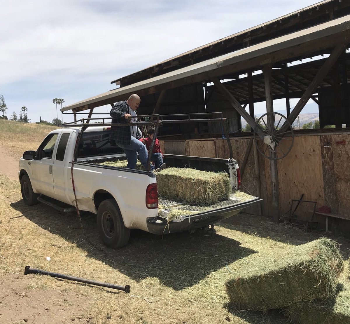 essj_kani's tweet photo. I miss my luv bug being this tiny omg baby fever is no joke 😭 the first pic is my all time fave. I love how him & my dad bond through the ranchito life 💙🤘🏼 #FirstGrandkid https://t.co/IjdoWnJlmH