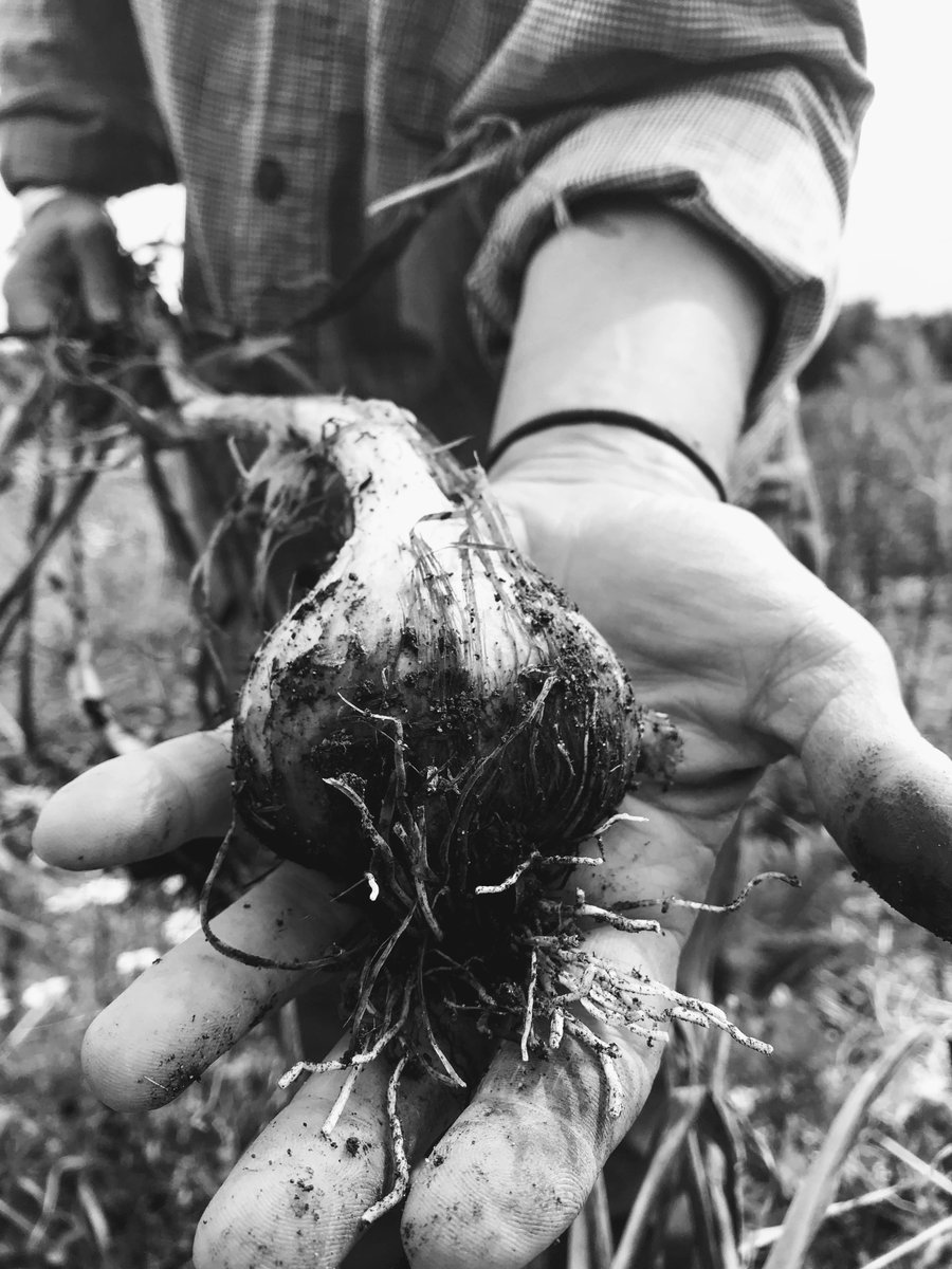 jhatcher64's tweet photo. What I want to know: How can #local #journalism educate the public about the importance of locally produced #agriculture? #csafarming #minnesota #agriculture #umdjour #NewsEngagementDay https://t.co/b4TSdo67sg